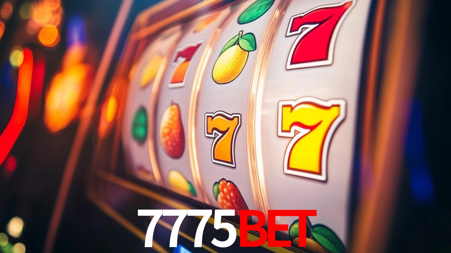 7775bet App Interface